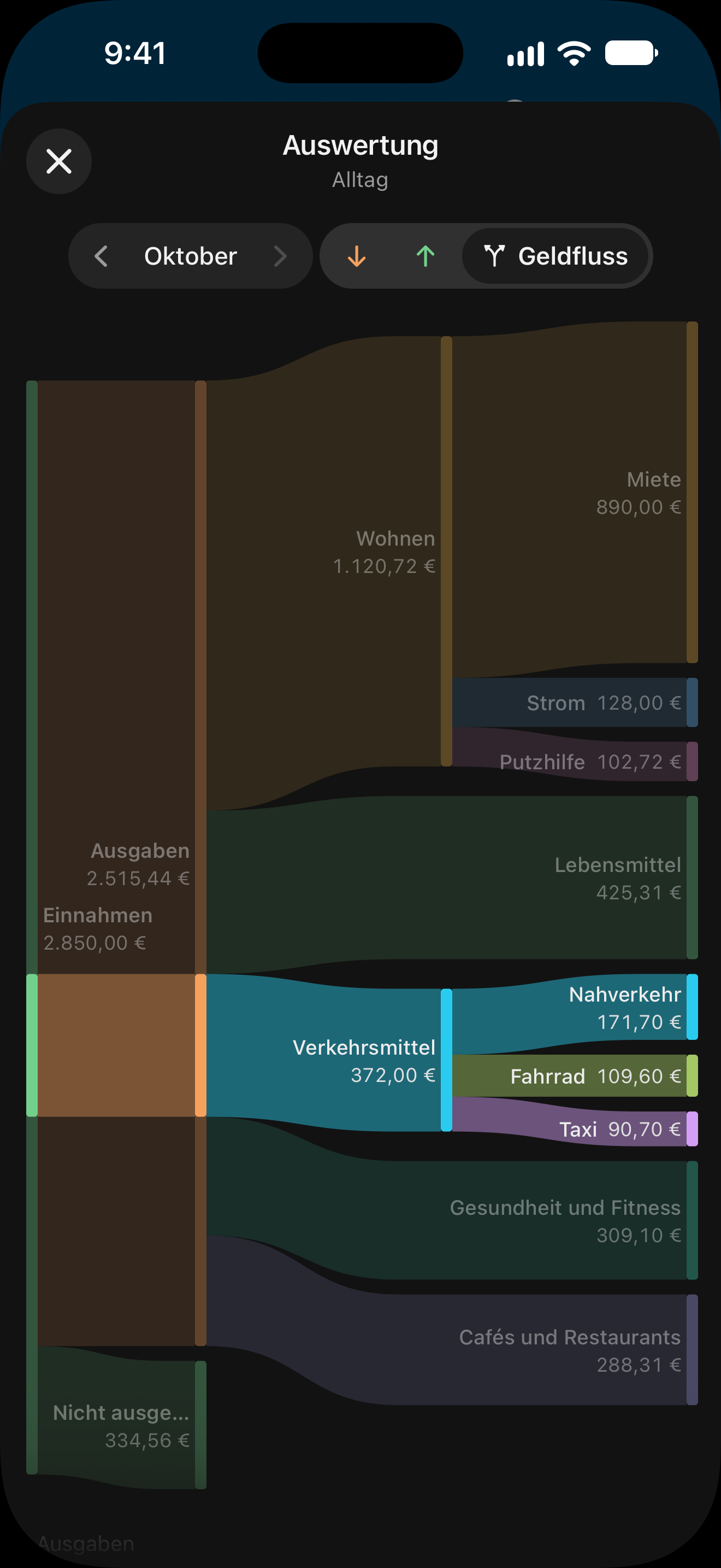 Die Auswertung als Geldfluss: links die Einnahmen, rechts die Ausgaben mit ihren Kategorien, darunter das, was nicht ausgegeben wurde; der Weg einer Kategorie ist hervorgehoben.